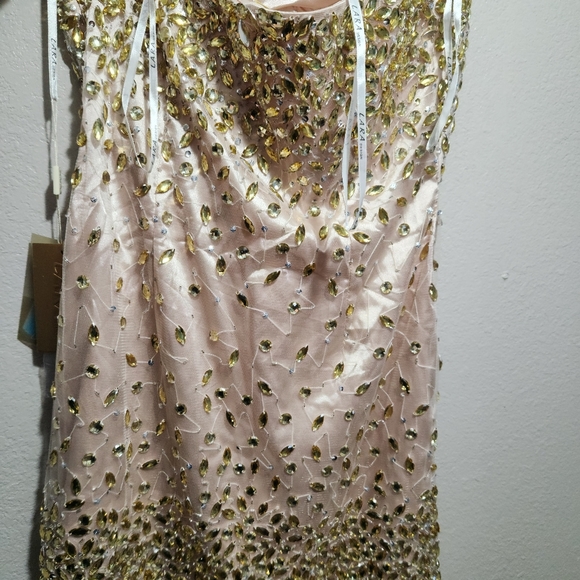Dress with Crystal NUDE Gold Size 14 - Picture 3 of 4